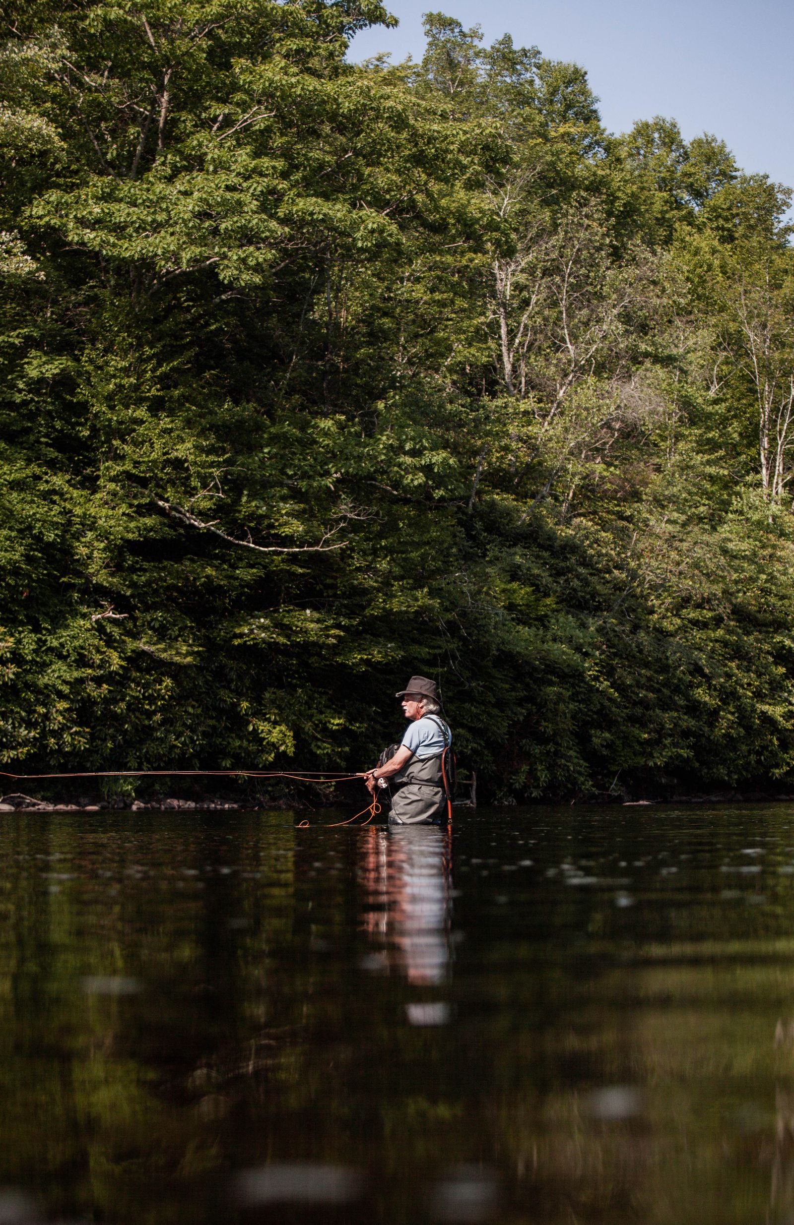 Pêcheur à la mouche progressant dans une rivière végétalisée
